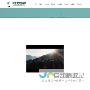 安吉千道湾白茶有限公司、千道湾安吉白茶 安吉白茶 安吉红