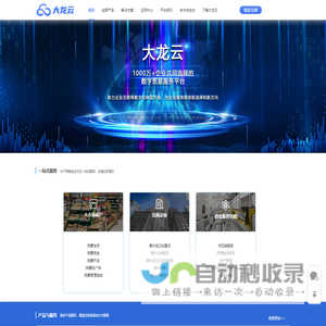 大龙云-数字贸易专业服务平台